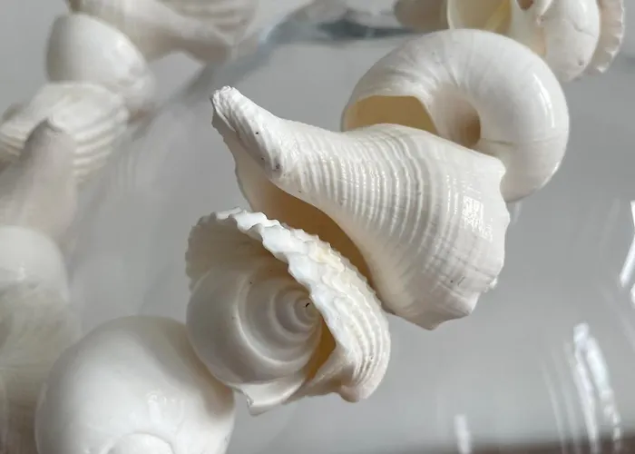 Lägenhet Lutherstudios